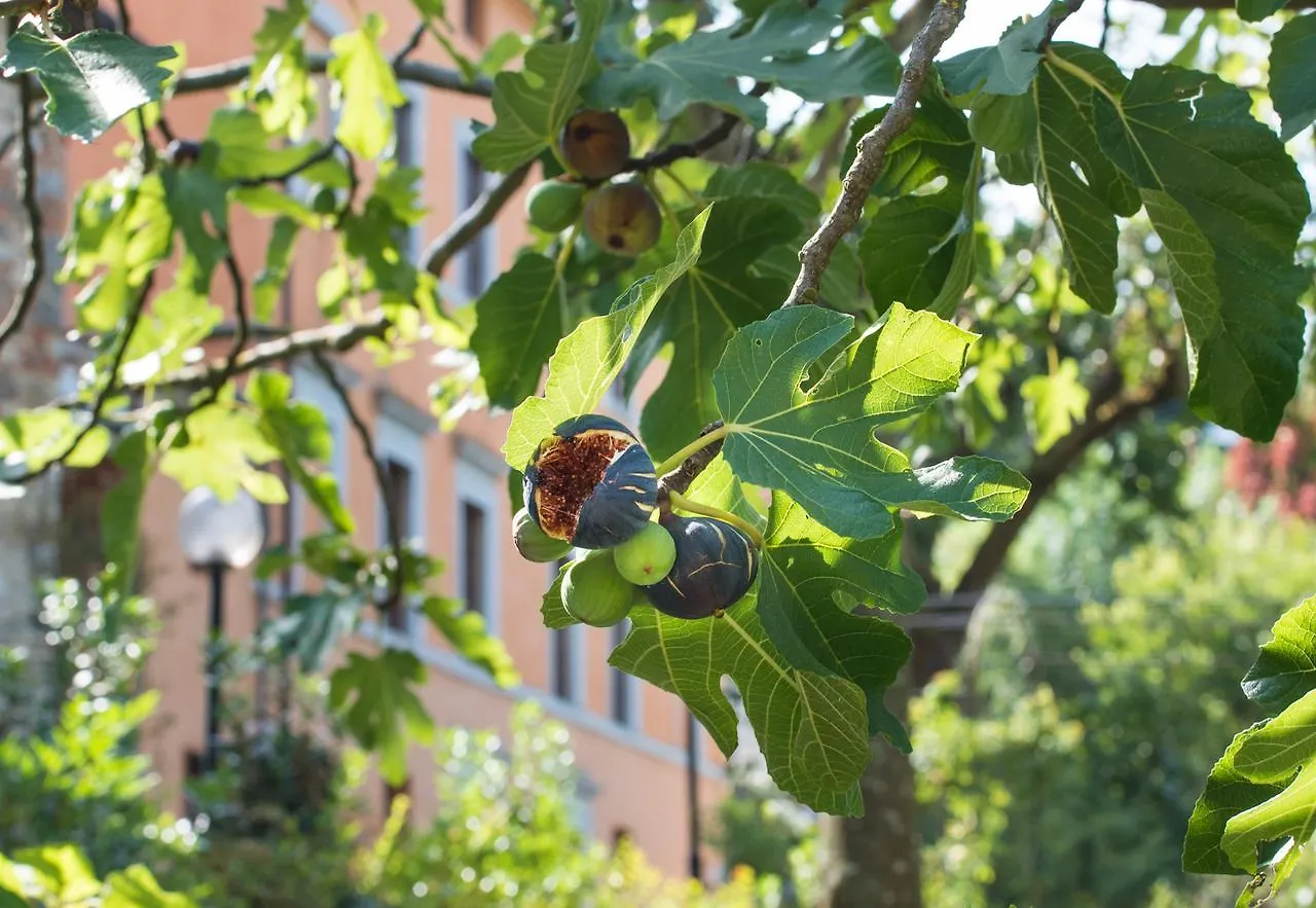 Hotel Relais Corte Rodeschi Camaiore