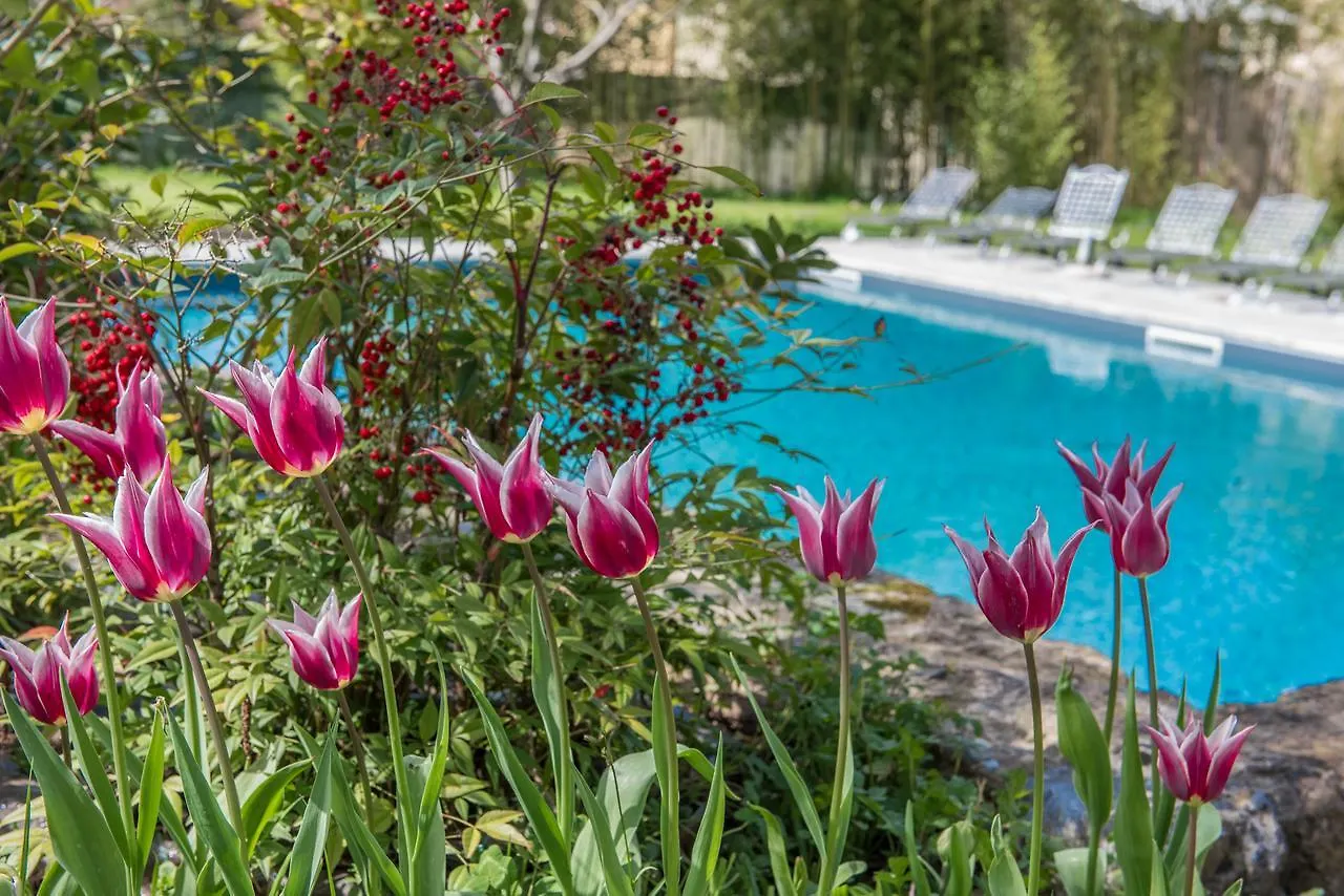 Hotel Relais Corte Rodeschi Camaiore